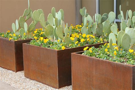 corten steel planter boxes